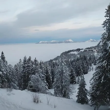 Rénové Chamrousse, Au Pied Des Pistes. Appartamento